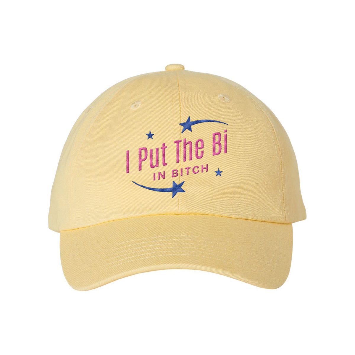 Put The Bi Embroidered Bio-Washed Classic Dad Hat