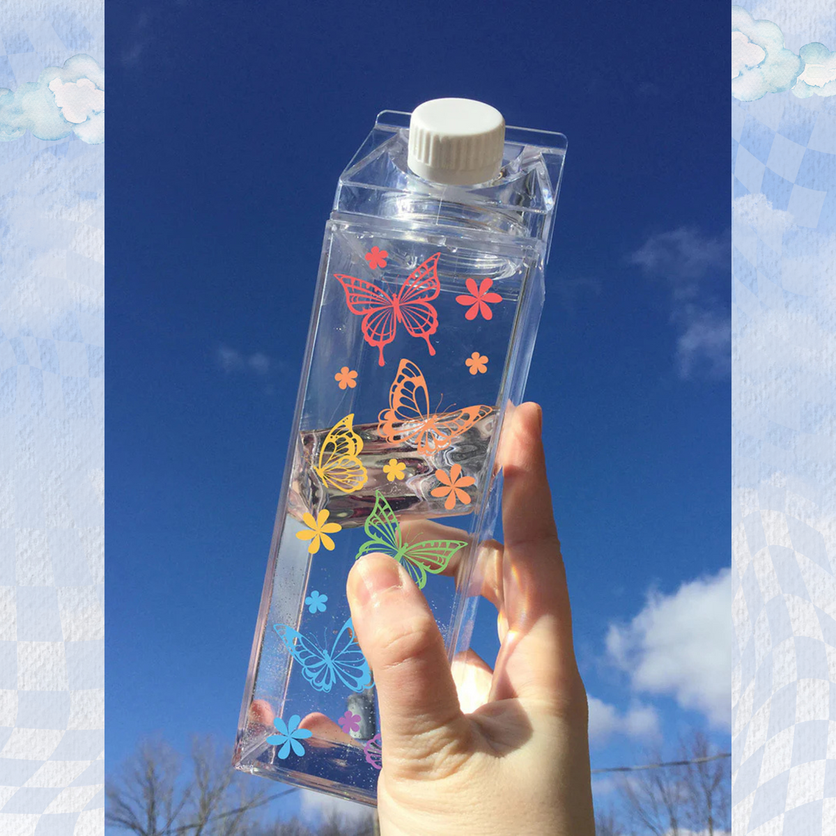 Butterfly Rainbow Milk Carton