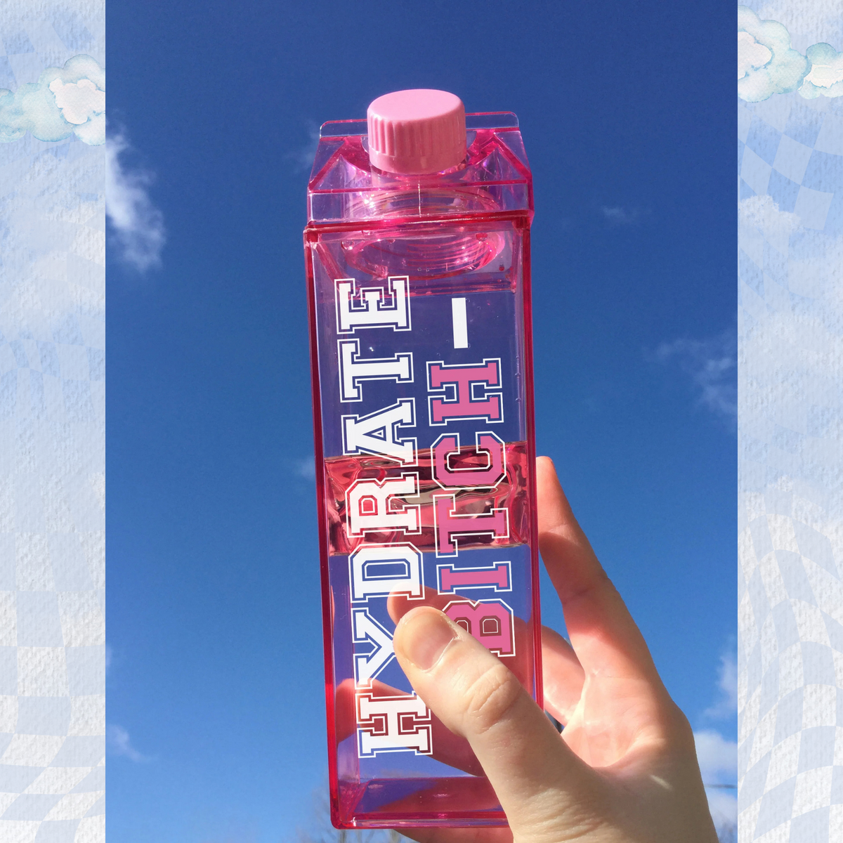 Hydrate Bitch Milk Carton