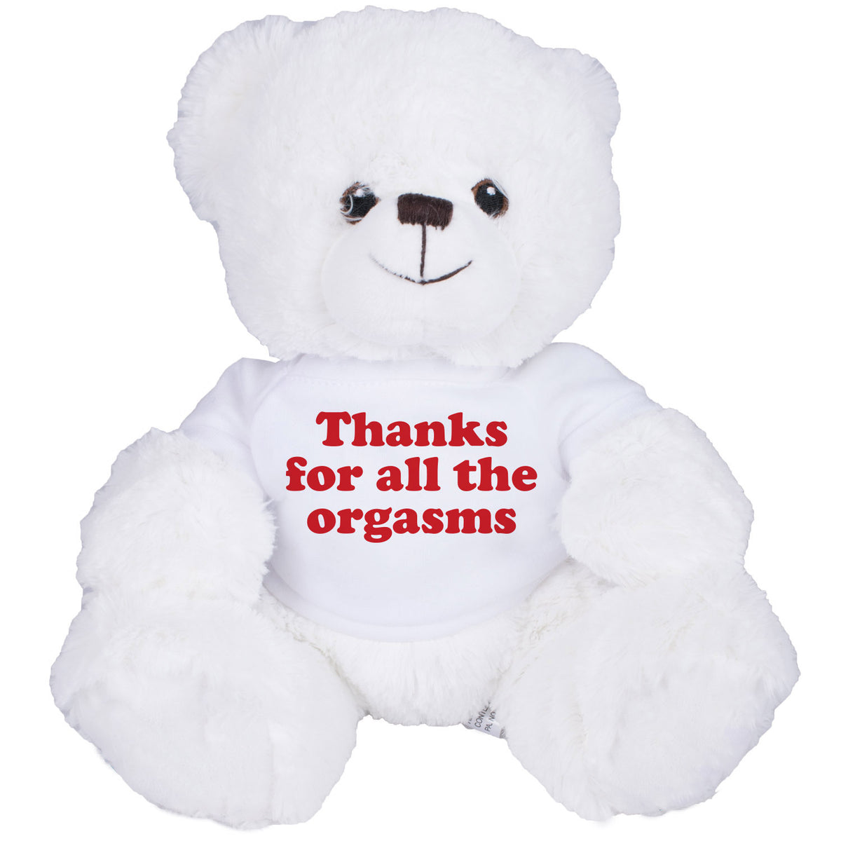 Thanks For The Orgasms Bear
