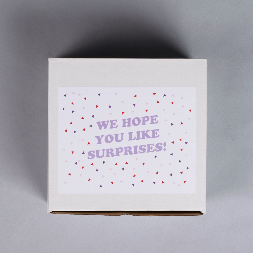 Mystery Box of Sweatshirts - Femfetti