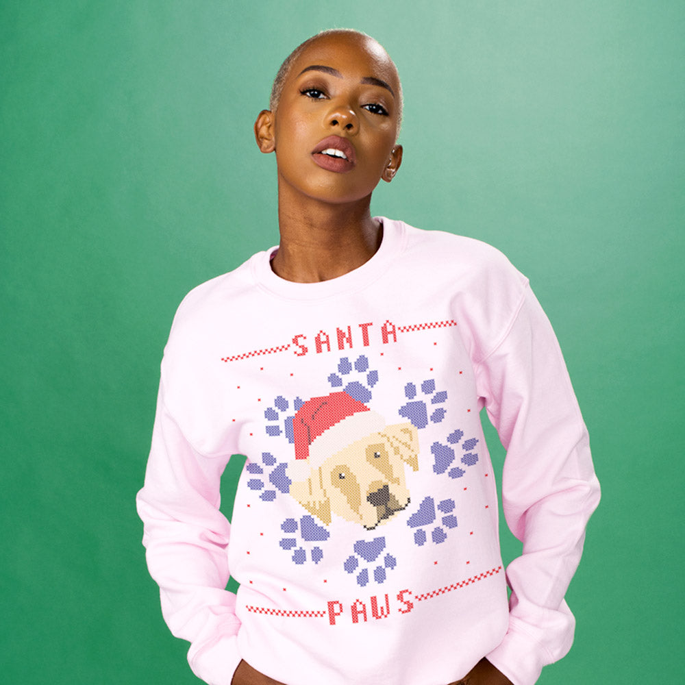 Santa paws outlet sweater