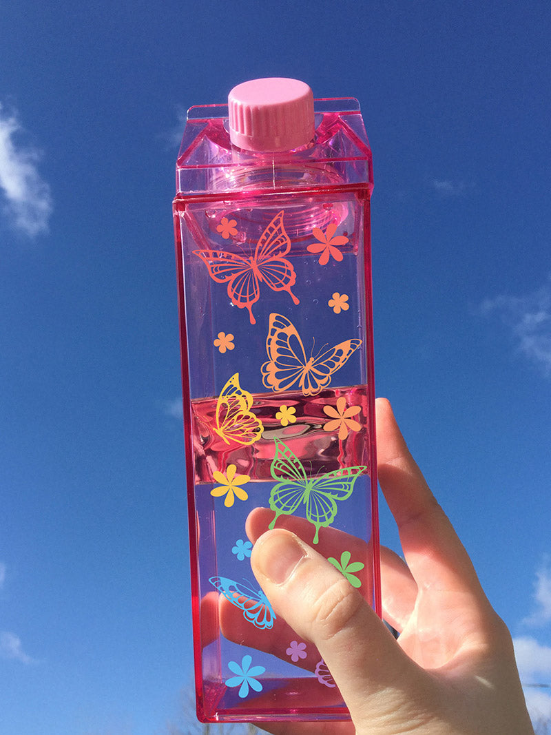 Butterfly Rainbow Milk Carton