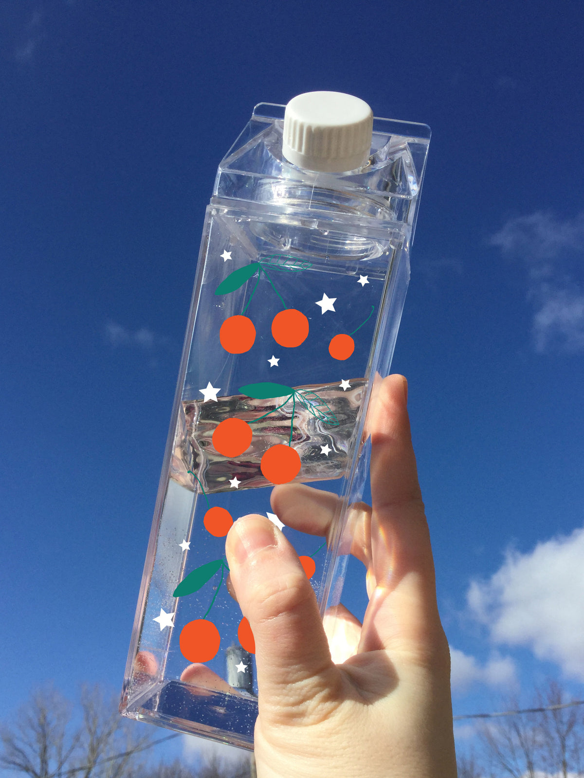 Cherry Pattern Milk Carton