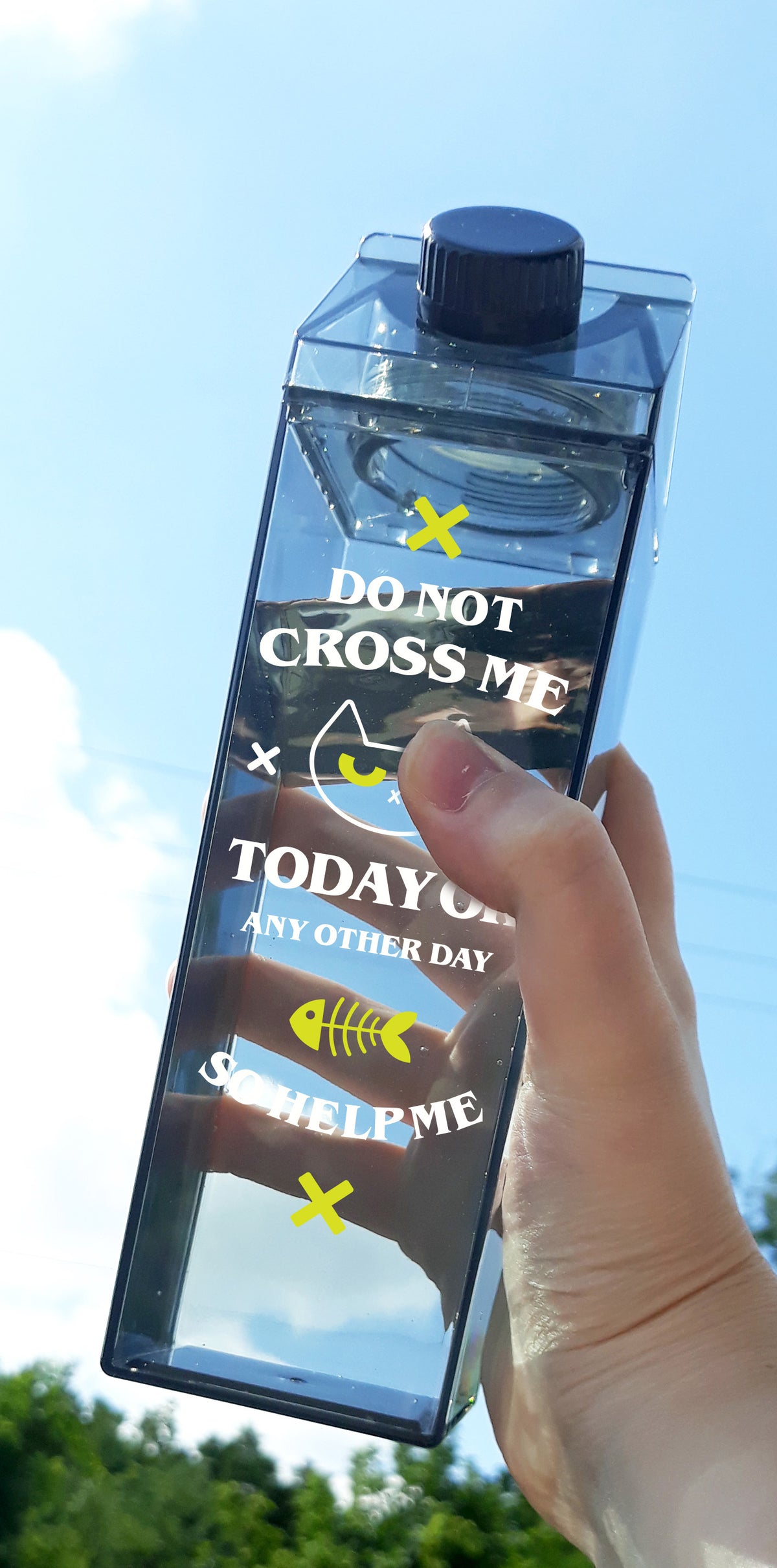 Do Not Cross Me Milk Carton