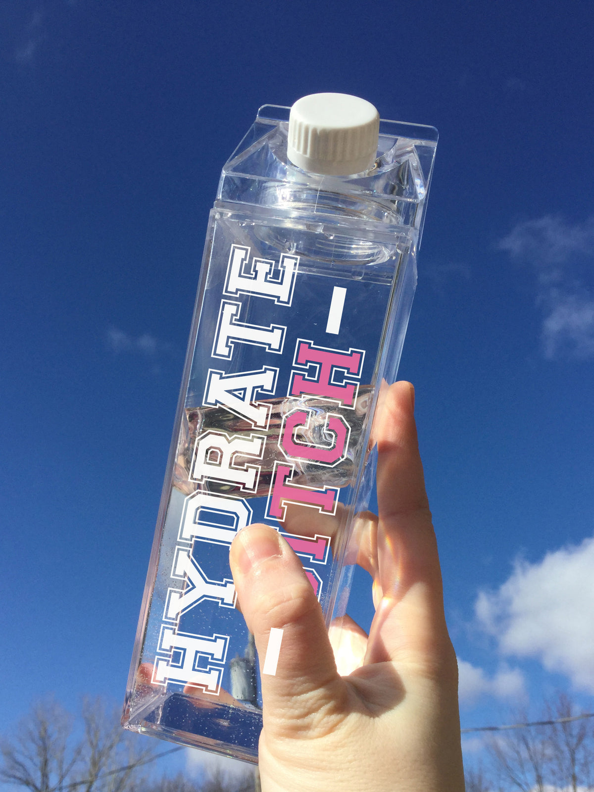 Hydrate Bitch Milk Carton