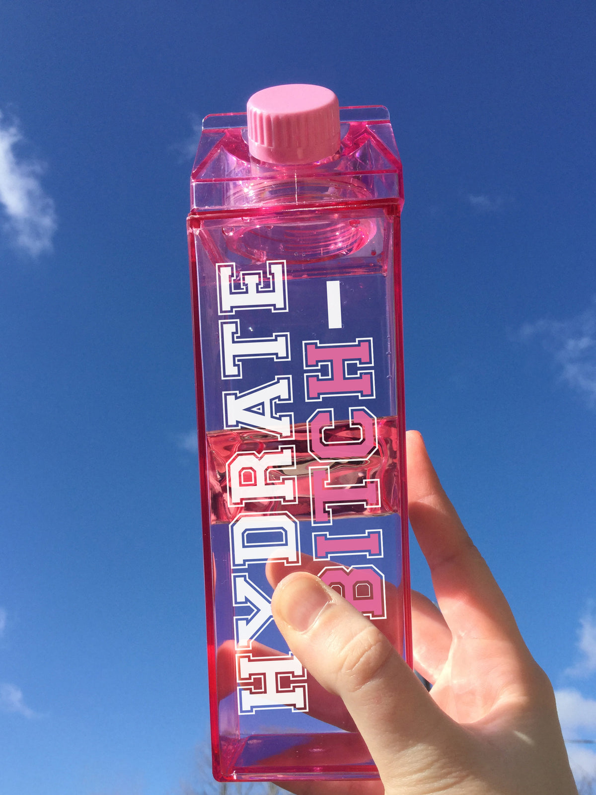 Hydrate Bitch Milk Carton
