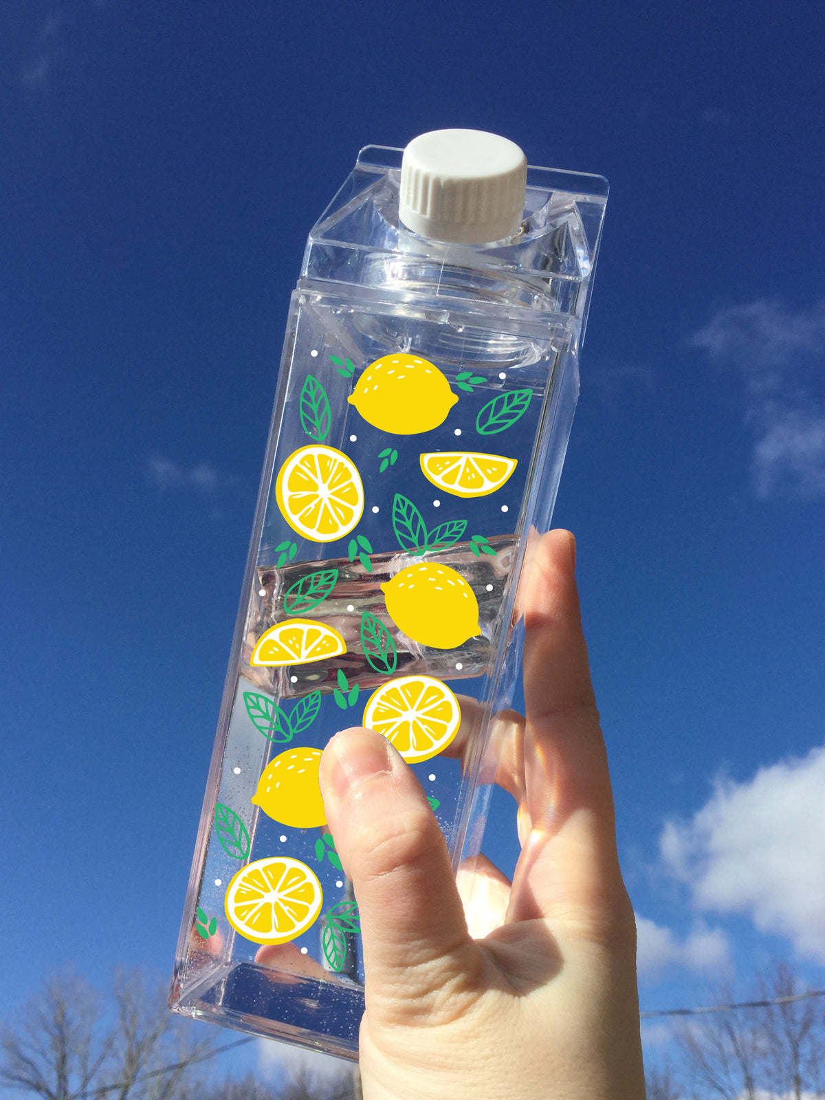 Lemon Pattern Milk Carton