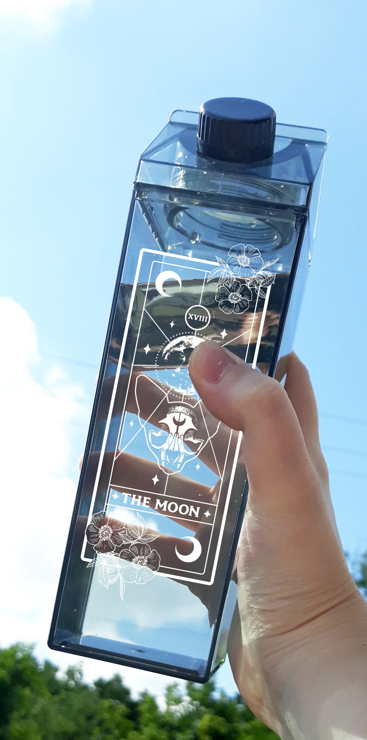 Moon Cat Tarot Milk Carton