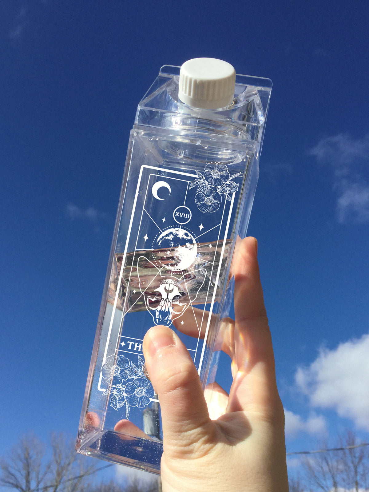 Moon Cat Tarot Milk Carton