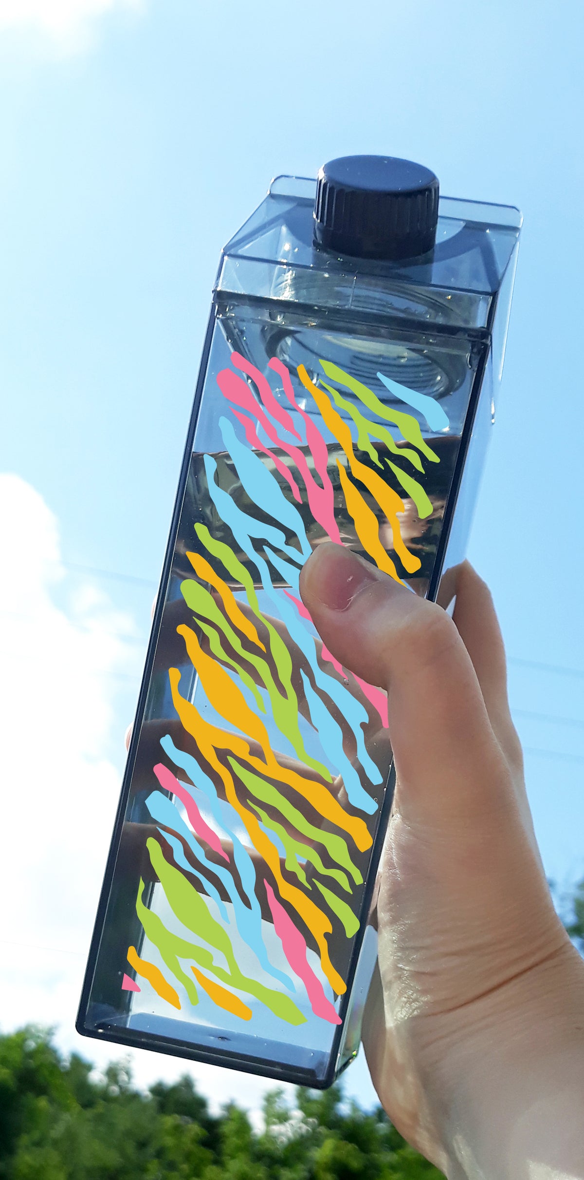 Rainbow Zebra Print Milk Carton