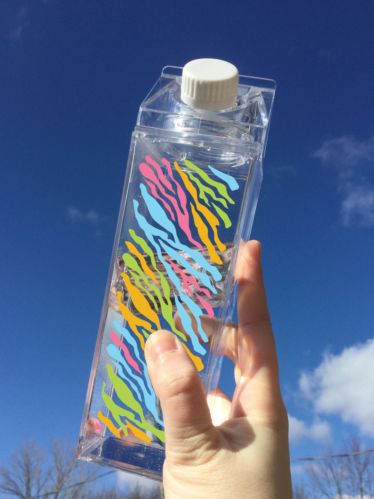 Rainbow Zebra Print Milk Carton