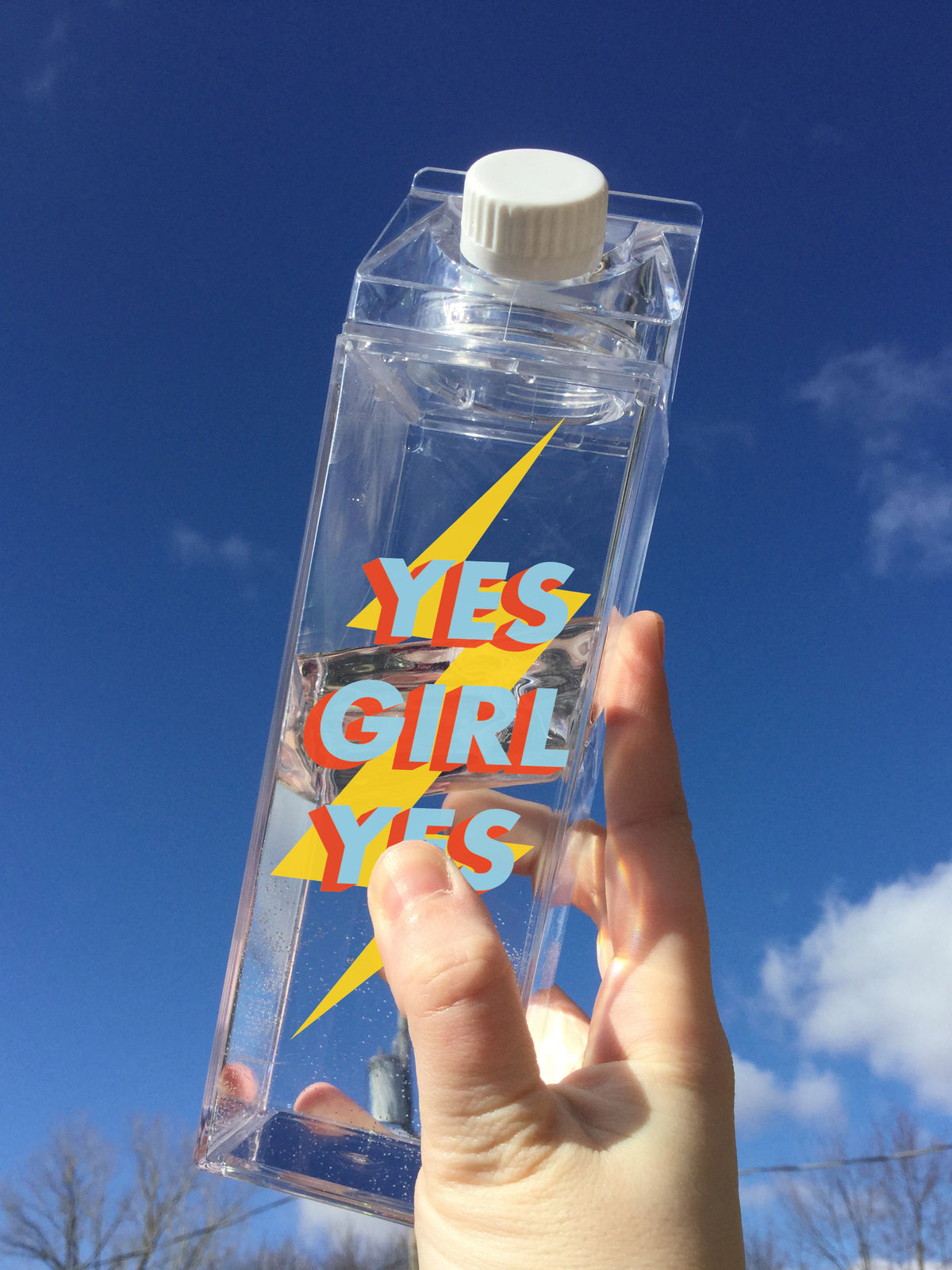Yes Girl Yes Milk Carton